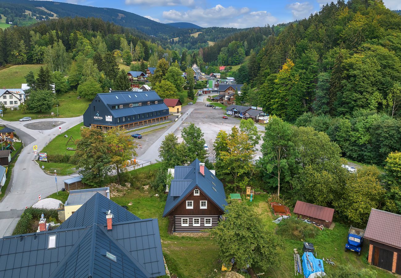 Villa in Rokytnice nad Jizerou - KRL470 