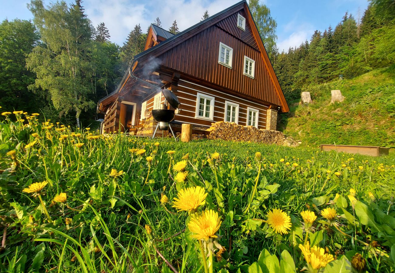 Villa in Rokytnice nad Jizerou - KRM450