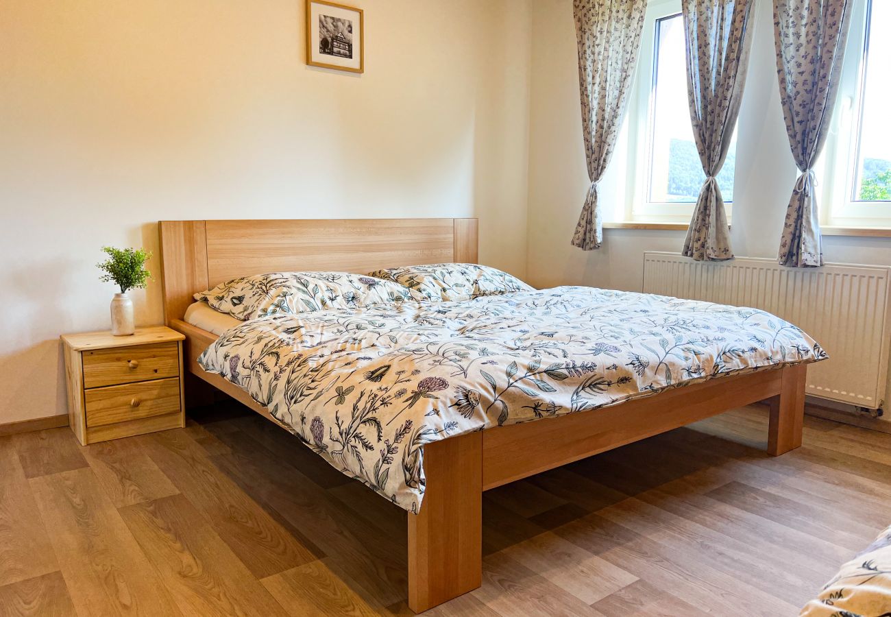 Villa in Dolní Podluží - NDW445 