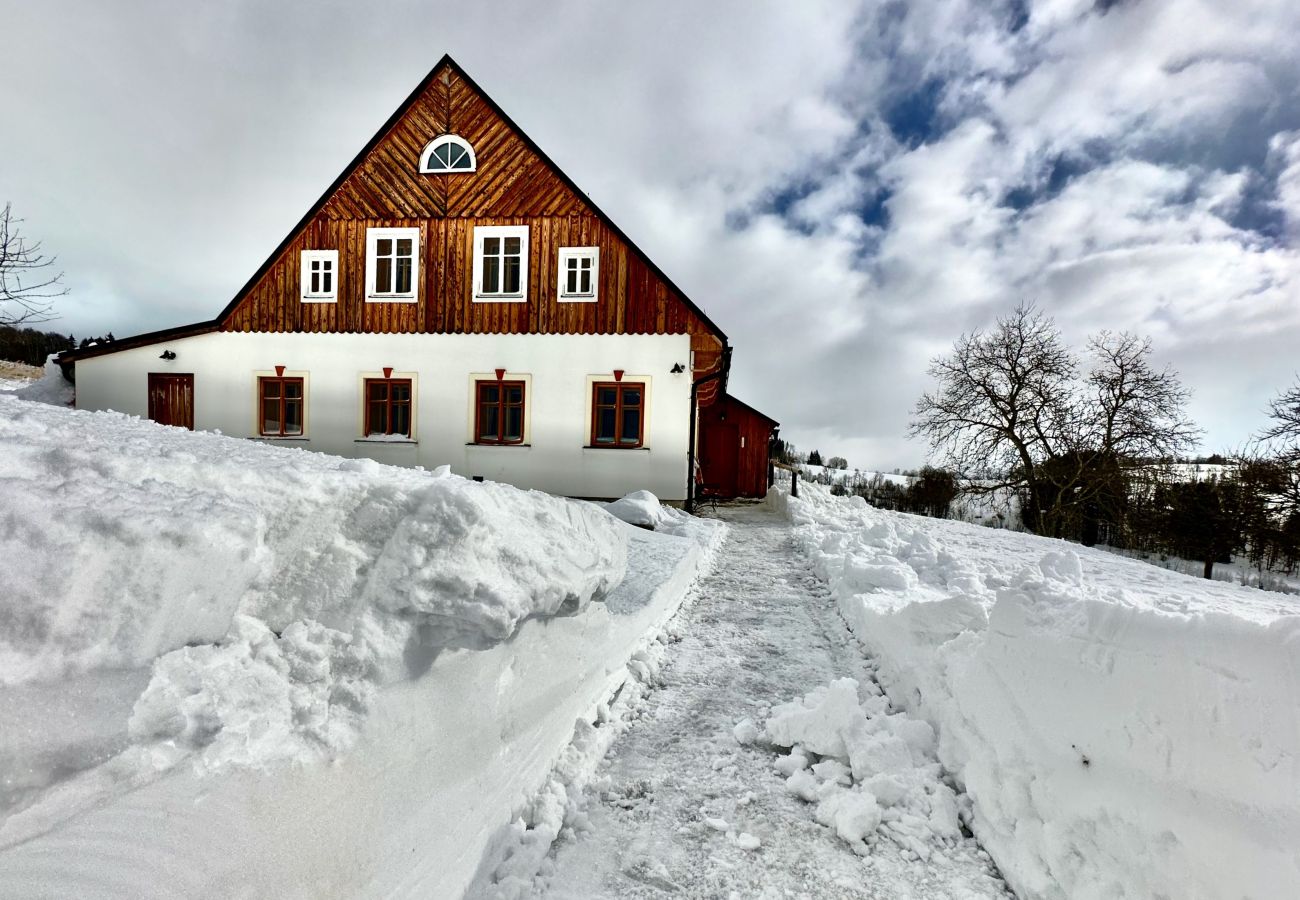 Villa in Víchová nad Jizerou - LVV033