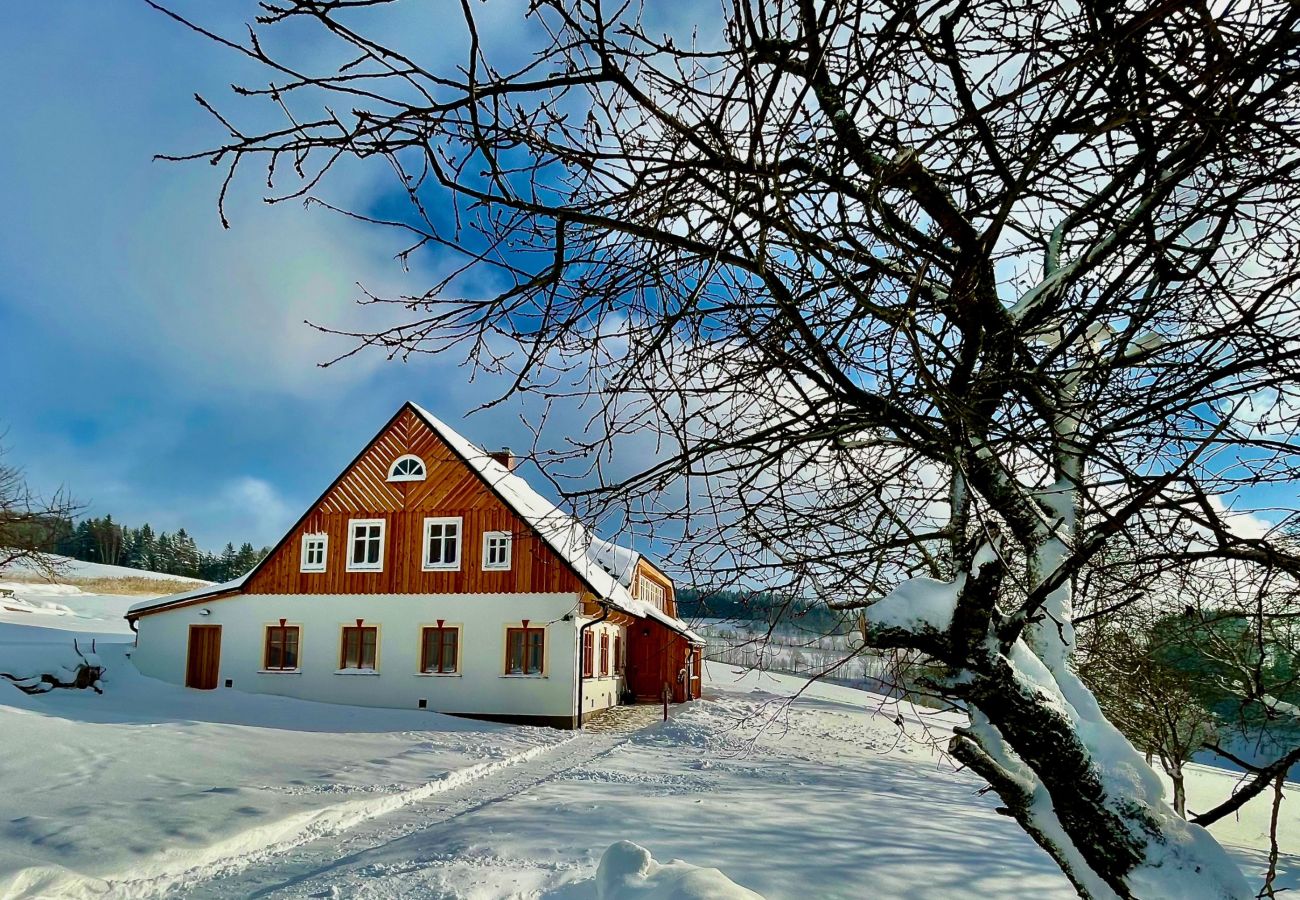 Villa in Víchová nad Jizerou - LVV033