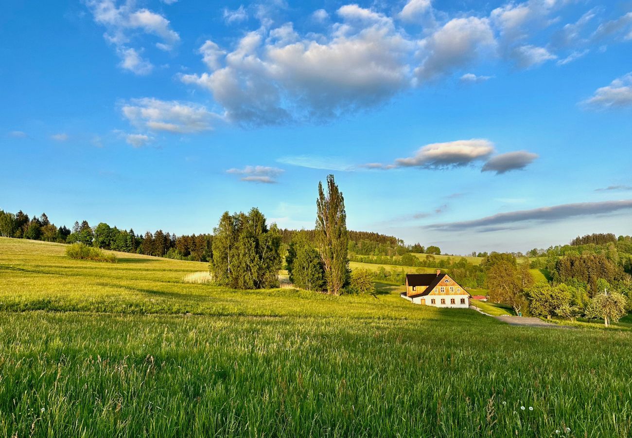 Villa in Víchová nad Jizerou - LVV033